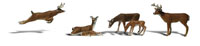 N Scale Woodland Scenics deer